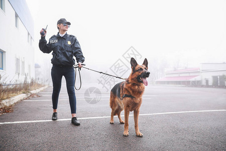 带着狗巡逻城市街道的女警官图片