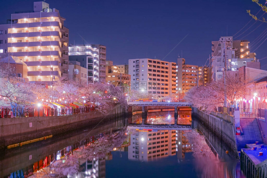 日本神奈川的夜景图片