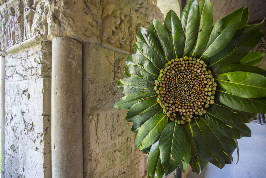 赫罗纳花卉节Tiempodeflores的花卉艺术品古代建筑中的当代植物区系艺术婚礼装饰图片