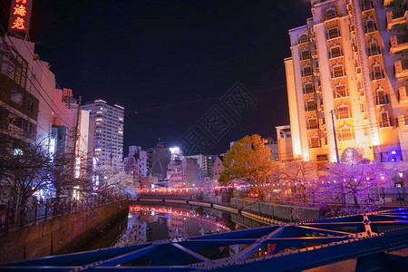 居住区的河流夜景图片