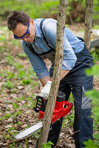 伐木工的特写视图在工作制服锯年轻树干用电锯链在森林里图片