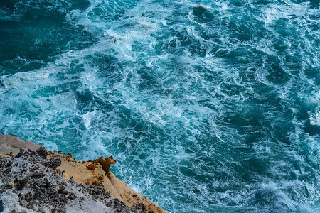 在澳洲大洋路的石灰岩悬崖上不断涌现的绿图片