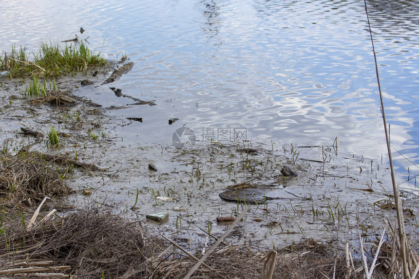 河流池塘湖泊岸边的环境碎片和污垢的污染生态环境保护问题图片