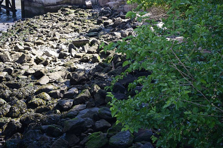 岩石位于纽约长岛市甘特利广场公园东河沿岸背景图片