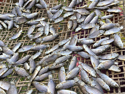 竹地板上鱼的干亚那高清图片