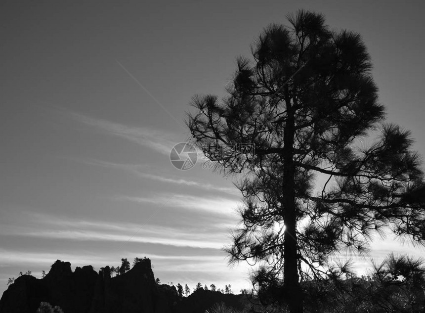 日出时的山地景观皮兰松自然公园加那利群图片