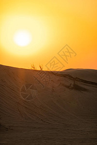 日落时迪拜沙漠的风景图片
