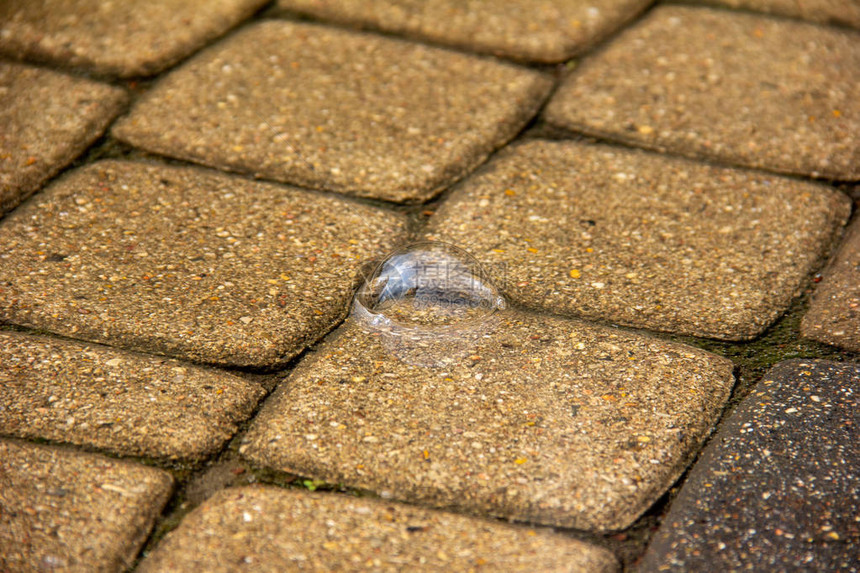 水泡在水坑里在雨后科图片