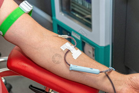 献血输血时的献血者将针插入静脉图片