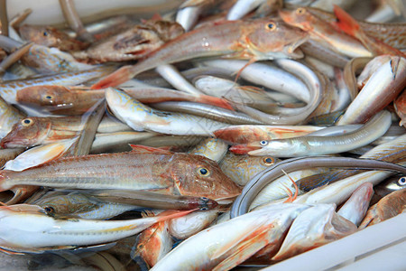 卡塔尼亚鱼市上的新鲜鱼图片