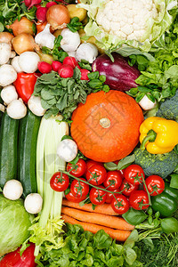 蔬菜收集食物背景肖像格式西红柿胡萝卜土豆图片