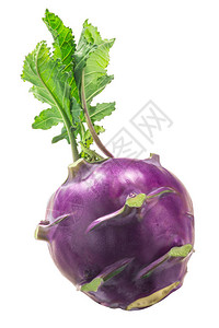 紫色KohlrabiBrassivaoletraceavargngylood图片