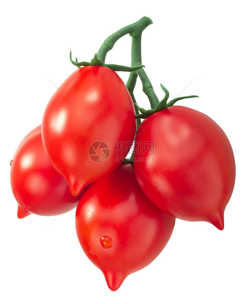 葡萄树上的西红柿意大利的图片