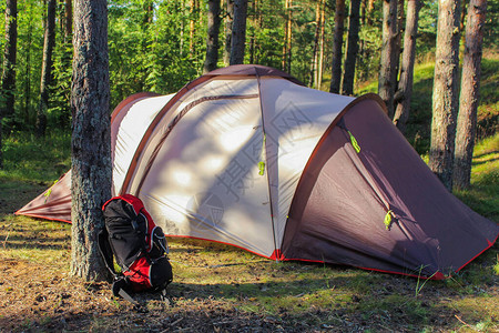 自然野营森林中的旅游家庭帐篷和树附近的徒步旅行背图片