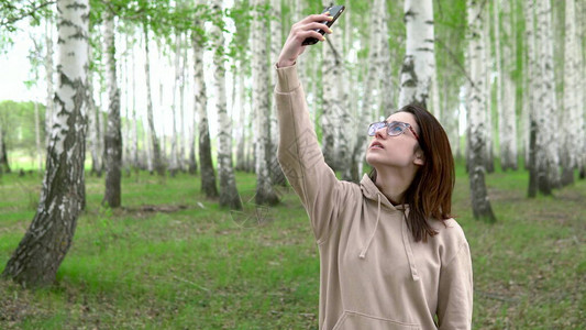 一位年轻女子正在白桦林中寻找蜂窝网络图片