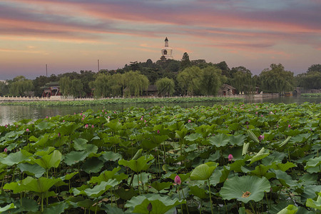 Beihai公园是位于北京紫禁城西北的一座帝国花园图片