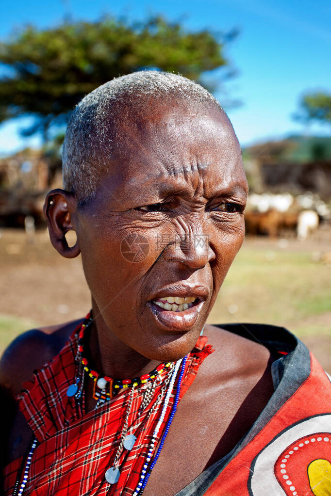 2012年10月15日在肯尼亚马赛拉的身份不明的马赛妇女马赛人是位于肯尼亚和坦桑尼亚北部的半游牧民图片