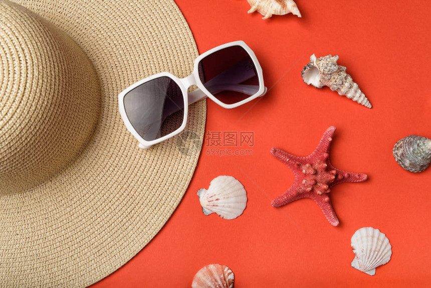 太阳眼镜贝壳海帽和海星的一部分珊瑚活本背景平图片