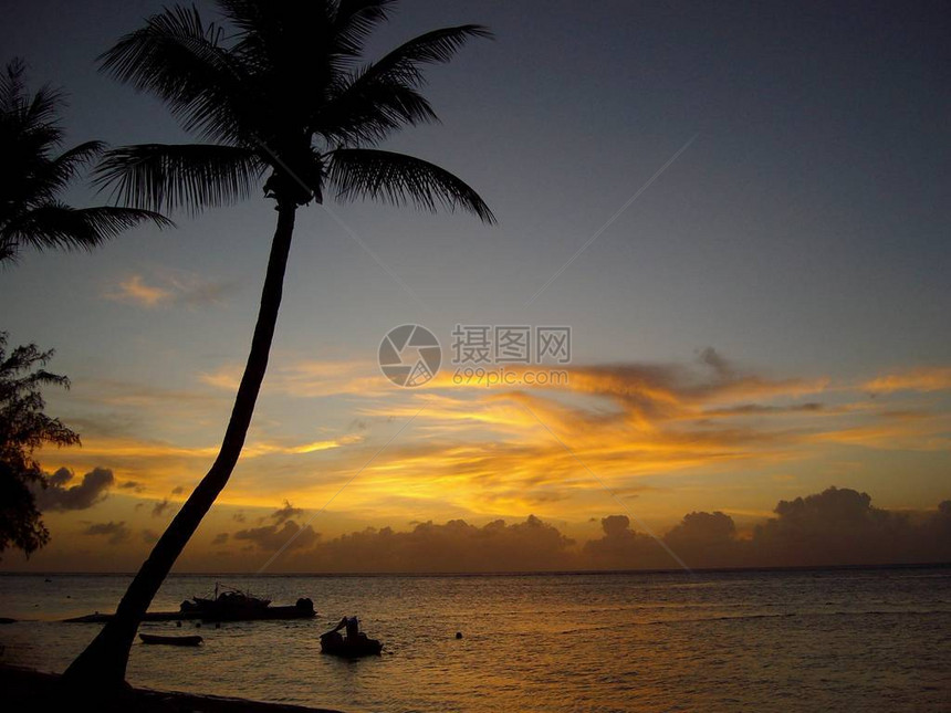 海滩旁的高塔椰子树热带岛屿日落时靠在图片