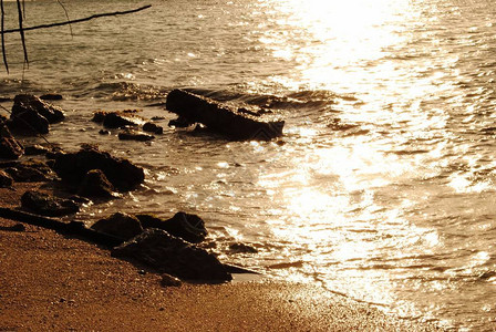 海滩上的金色波纹被美丽图片