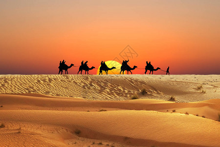 橙色日落时阿拉伯沙漠丘中背景图片