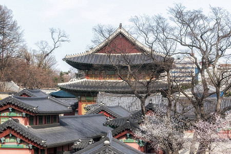 从附近的咖啡馆屋顶拍摄的昌德宫的景色历史宫殿是韩国首尔的主要图片