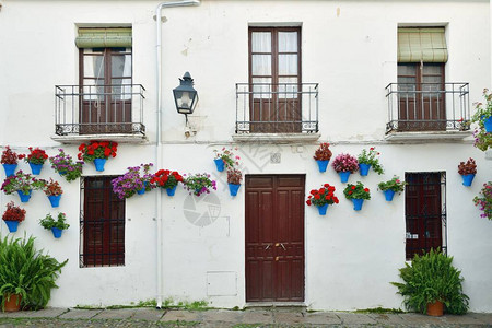 西班牙科尔多瓦居民住宅的美图片