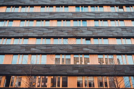 德国平板屋顶办公大楼窗户和黑色外墙的低角反射图片