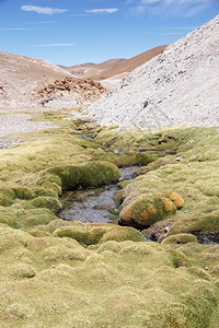 PunadeAtacama是智利北部和阿根廷安第斯山脉的一个干旱高原图片