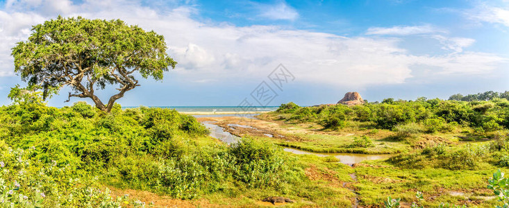 斯里兰卡亚拉公园PadikemaRo图片