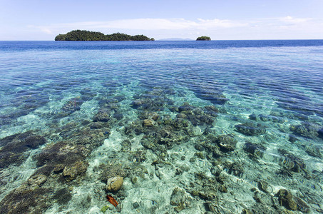 印度尼西亚托吉亚群岛图片