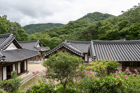 Seonamsa野茶屋花园景色在图片