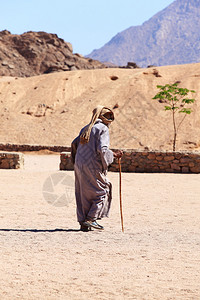 在埃及沙漠中行走背景图片