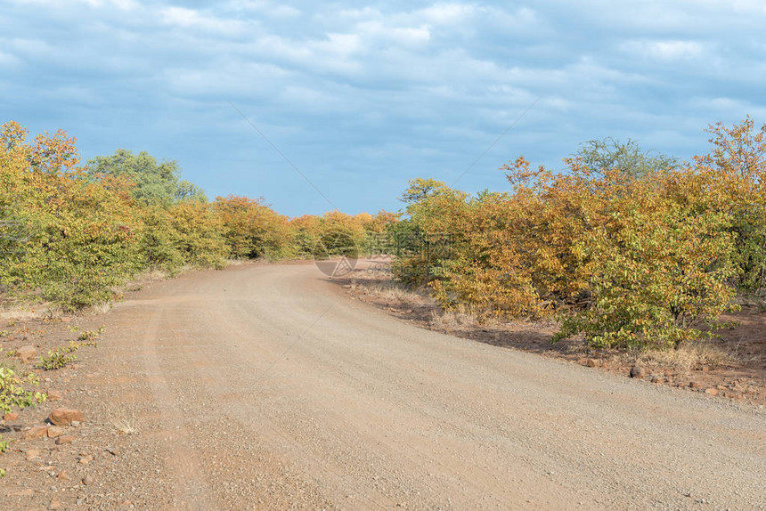 利塔巴附近的秋天路图片