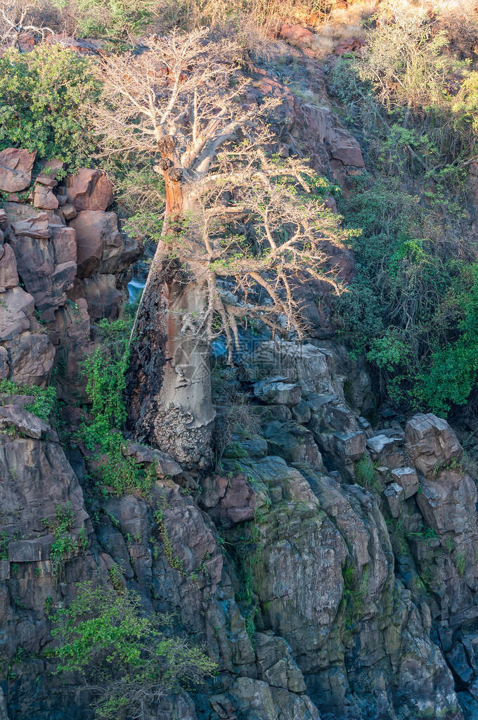 纳米比亚Epupa悬崖边图片