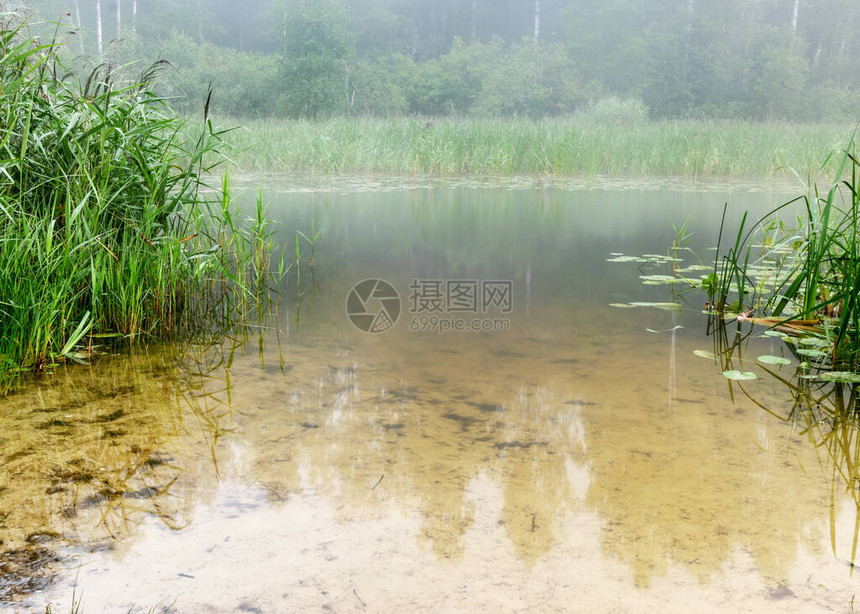 雾的风景晨雾中的湖泊模糊的图片