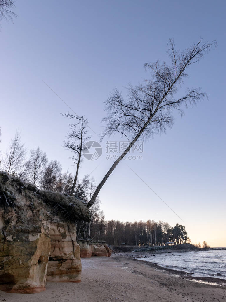 海边岩石沙石悬崖和树木的风景图片