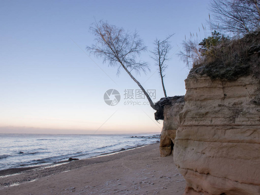 沙漠悬崖树木和海岸的风景寒冷的冬图片