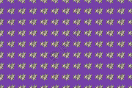 VC咀嚼片紫色和紫色的VC无缝背景图案插画