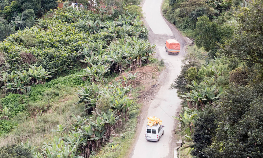 穿越热带雨林景观的山地公路马达加斯图片