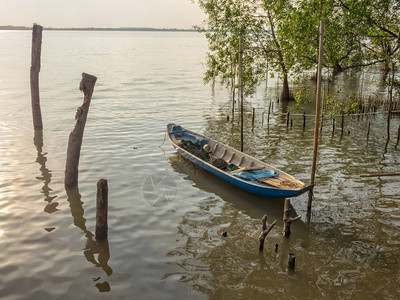 湄公河三角洲的传统木制船越南C图片