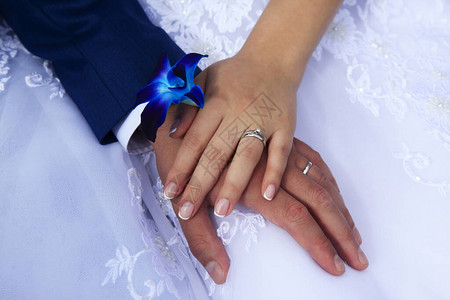 新娘和新郎的手放在婚纱的背景上图片