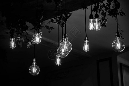 各种形状的玻璃灯泡的黑白摄影图片