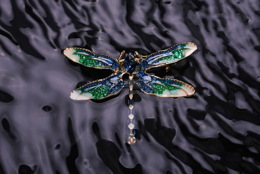 水中蜻蜓珐琅胸针图片