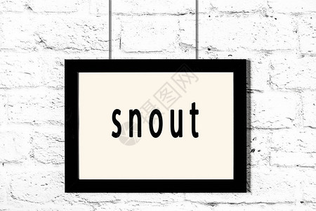 白砖墙上挂着题字鼻子的黑色木框图片
