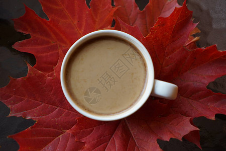 红秋叶上的一杯咖啡图片