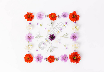 花组成由白色背景上的夏季花朵制成的方形装饰品俯视图背景图片