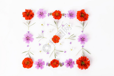 花组成由白色背景上的夏季花朵制成的方形装饰品俯视图背景图片