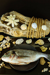 砧板上的鱼背景上有贝壳和木头图片