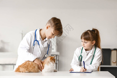 小兽医在诊所检查可爱图片